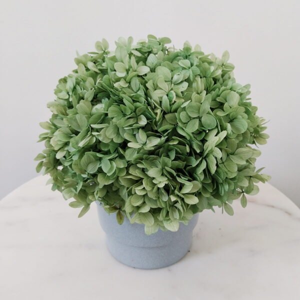 Hydrangea Symphony centerpiece