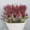 Provence centerpiece