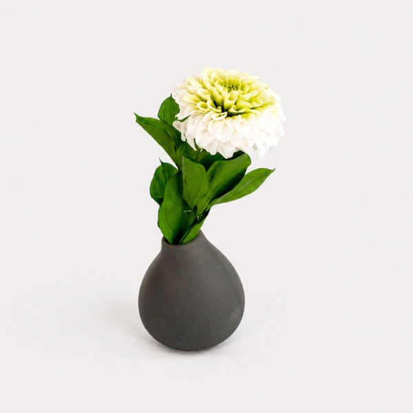 Dahlia Grace Dahlia Grace bud vase arrangement