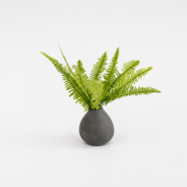 Fern Haven