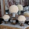 Group Display Timeless Rose centerpiece