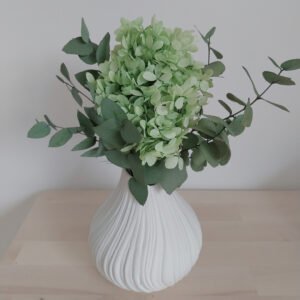 Hydrangea Haven