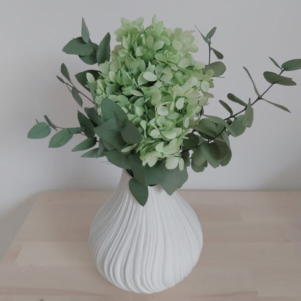 Hydrangea Haven