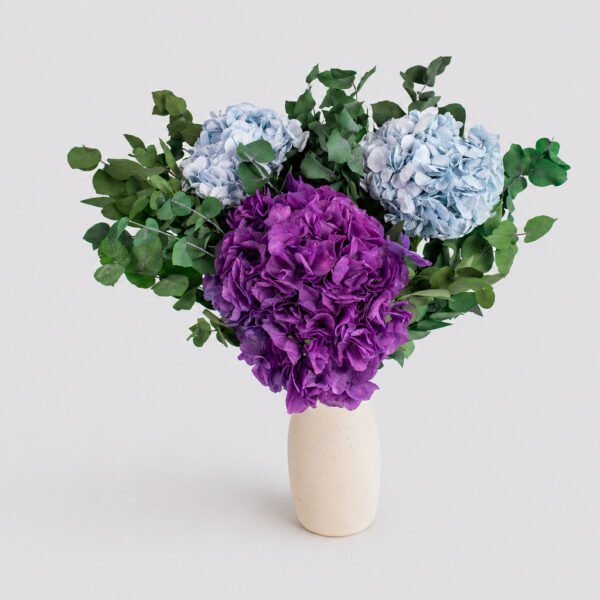 Hydrangea Symphony Hydrangea Symphony vase arrangement