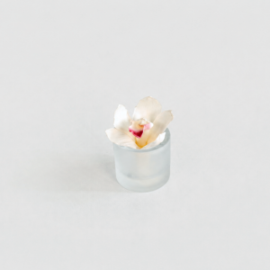 Orchid Jewel