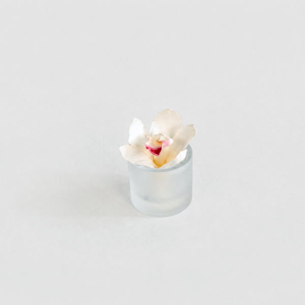 Orchid Jewel