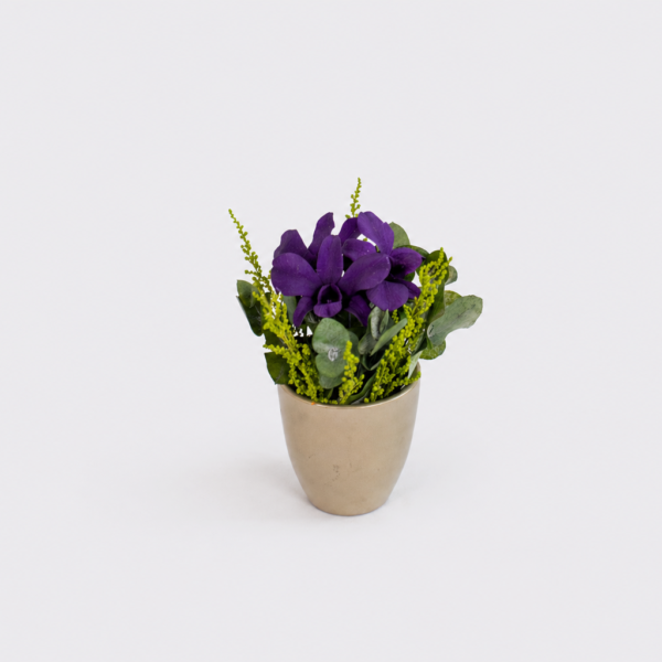 Orchid Serenity Orchid serenity bud vase arrangement
