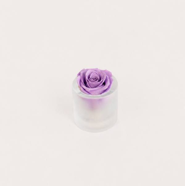 Rose Jewel