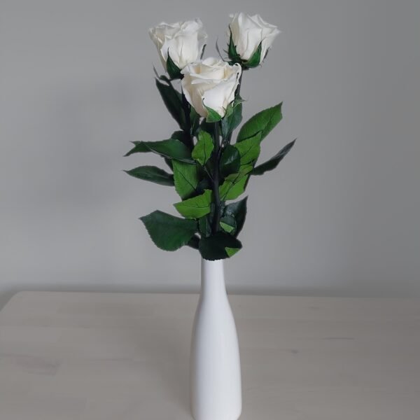 Essence vase arrangement