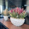 Provence centerpiece