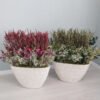 Provence centerpiece