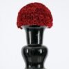 Timeless Rose vase arrangement